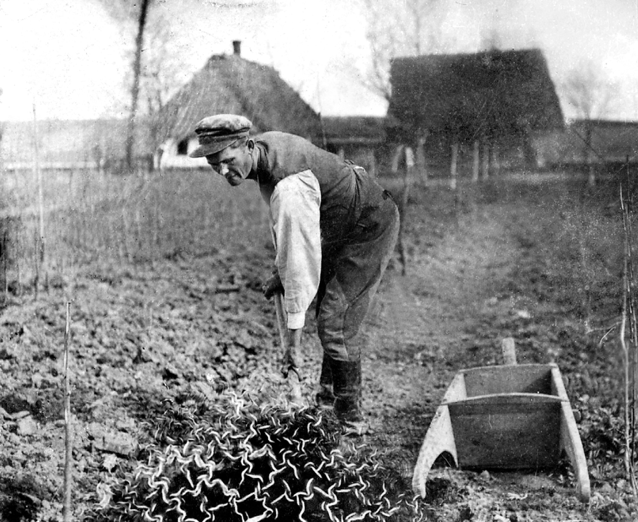 Foto's genomen door de zalige Jozef Ulma