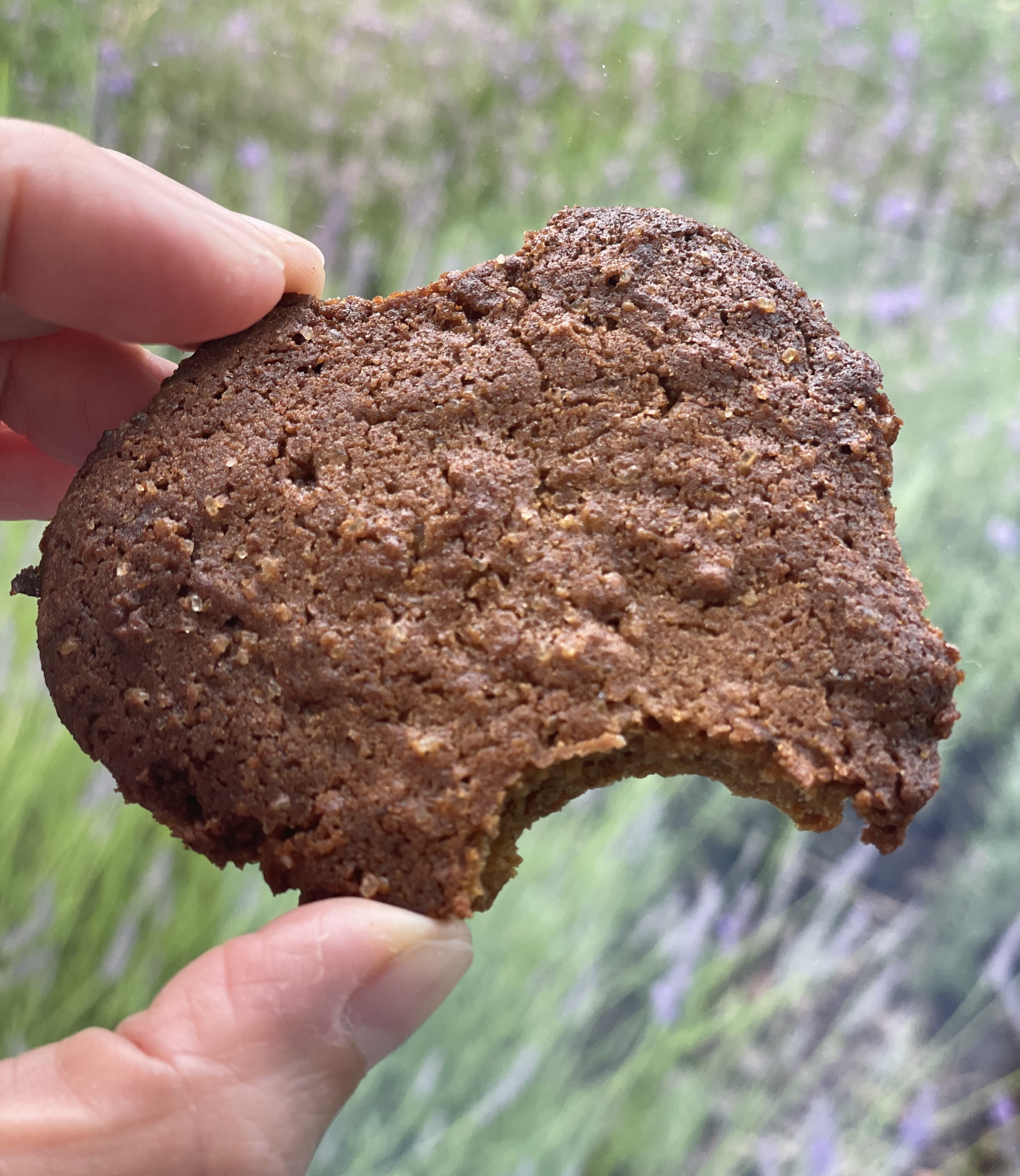 Krachtkoekje van Hildegard van Bingen met een eerste hap eruit!