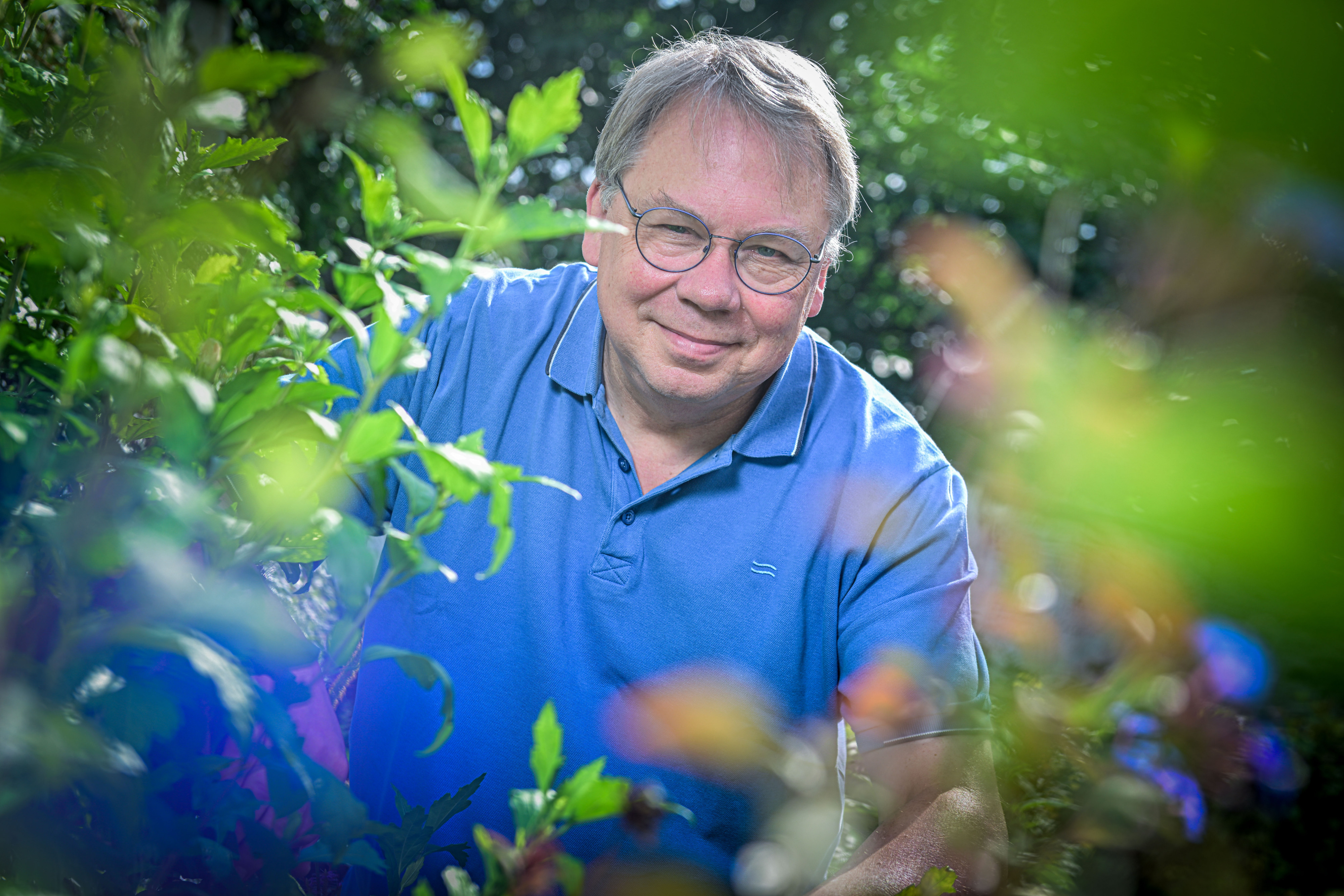 Peter Malfliet (zomers portret)