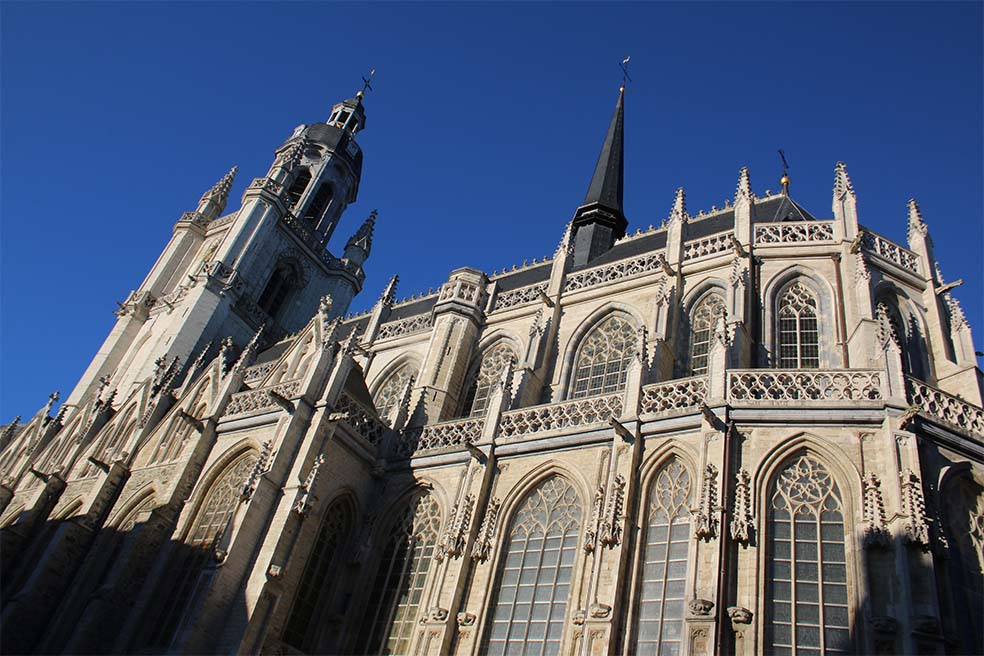 Sint-Martinusbasiliek van Halle