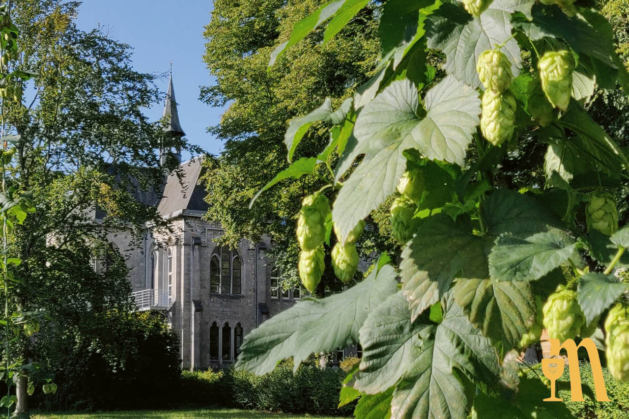 De microbrouwerij is een samenwerking tussen de Abdij van Maredsous en brouwer Duvel Moortgat die de bieren van Maredsous brouwt 