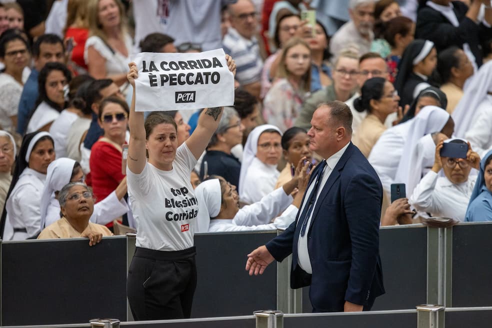 Dierenrechtenactivisten protesteerden tegen stierengevechten tijdens de algemene audiëntie van de paus op 7 augustus 