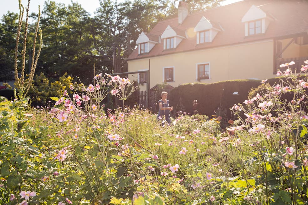 Een natuurlijke tuin hoeft geen wilde tuin te zijn, maar kan ook ordelijk onderhouden worden. Zo strak als een modernistische of minimalistische tuin zal het echter nooit worden.