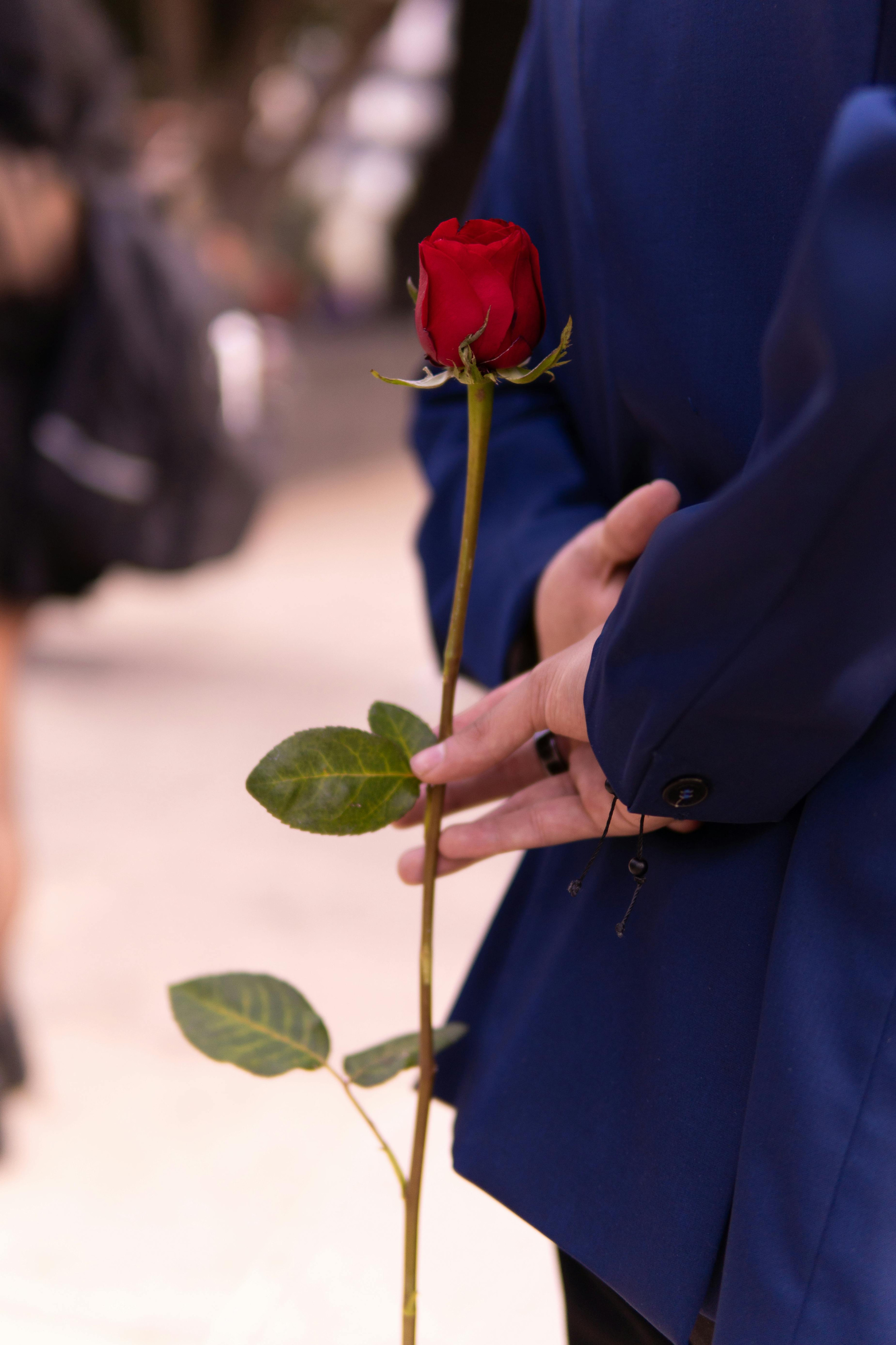 vrouw houdt roos achter de rug. We zien enkel de handen met de bloem op de rug