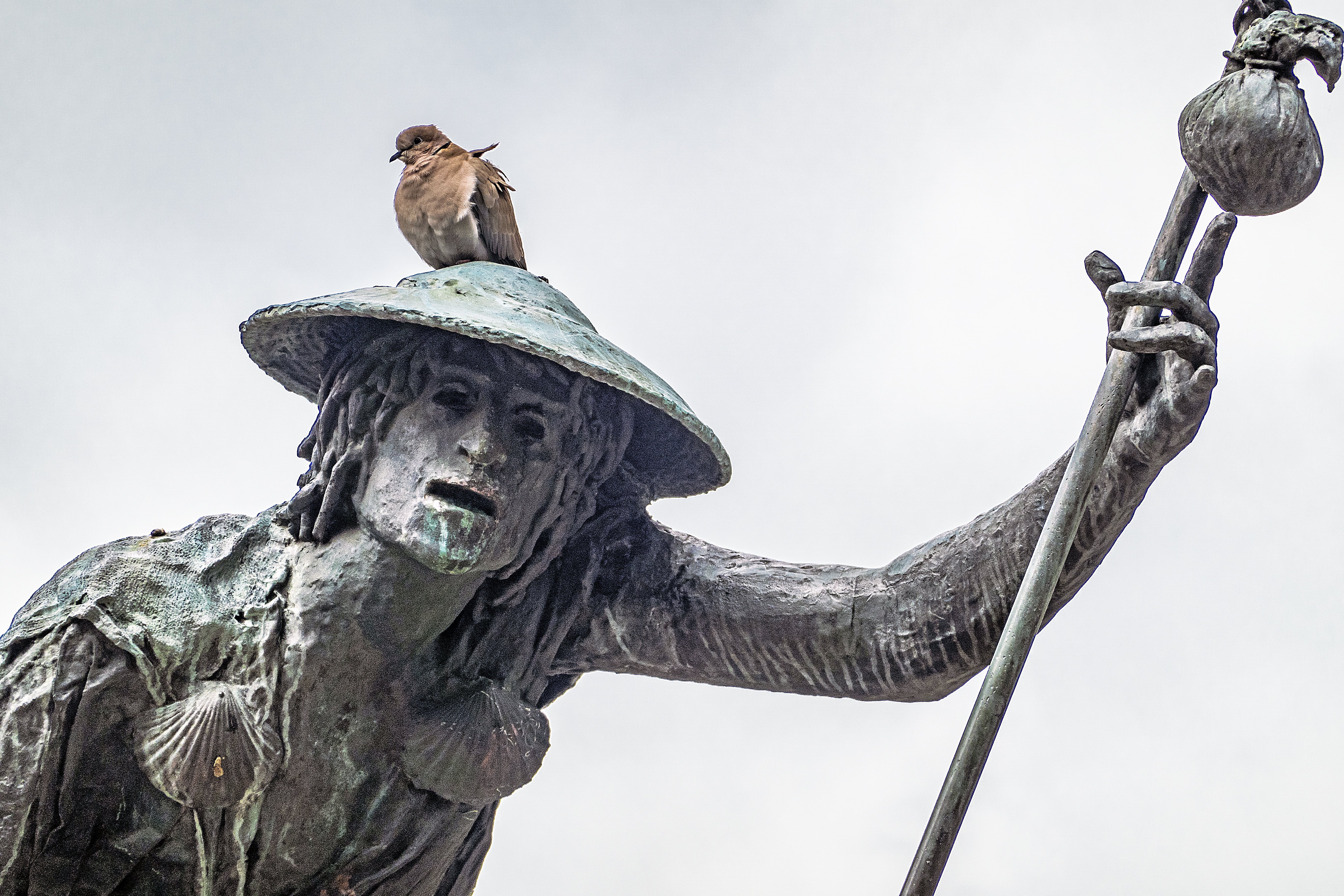 Het beeld van Sint-Rochus, een van de bekendste epidemieheiligen, in Aarschot. © Luk Vanmaercke