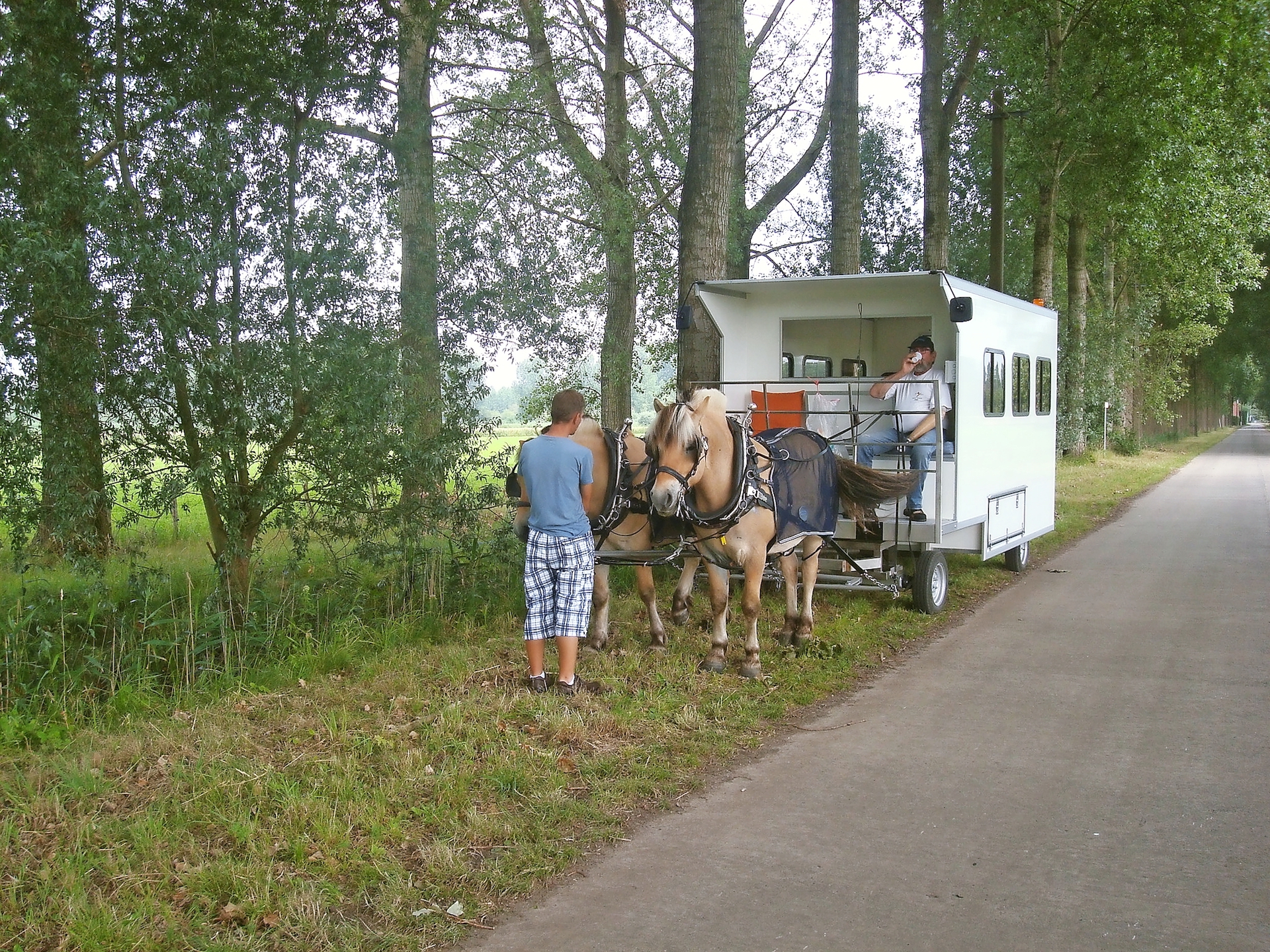 De trektocht met een woonwagen getrokken door fjordenpaarden is een hoogtepunt in Kodiels werking. © Hedwig Dom