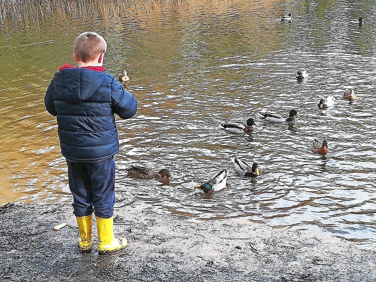 De groene omgeving helpt de kinderen en jongeren tot rust te komen. © De Wereld van Indra vzw