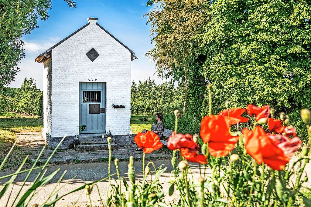 De Spikdoornkapel, gelegen op een Hagelandse heuvel, behoudt haar aantrekkingskracht. © Luk Vanmaercke