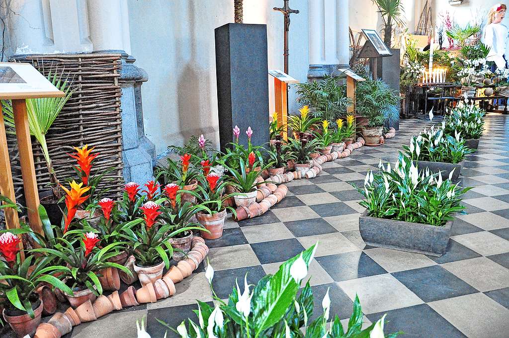 Bloemen in de kerk geven een viering meteen een veel feestelijker karakter. © Filip Ceulemans