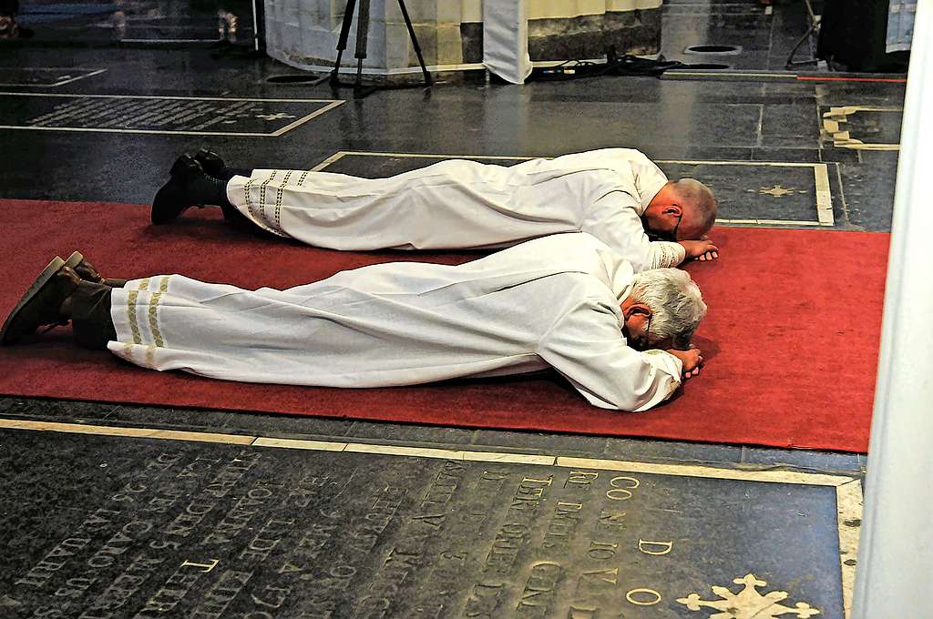 Een priesterwijding blijft een bijzonder moment, voor priester zowel als bisdom. © Paul Hermans