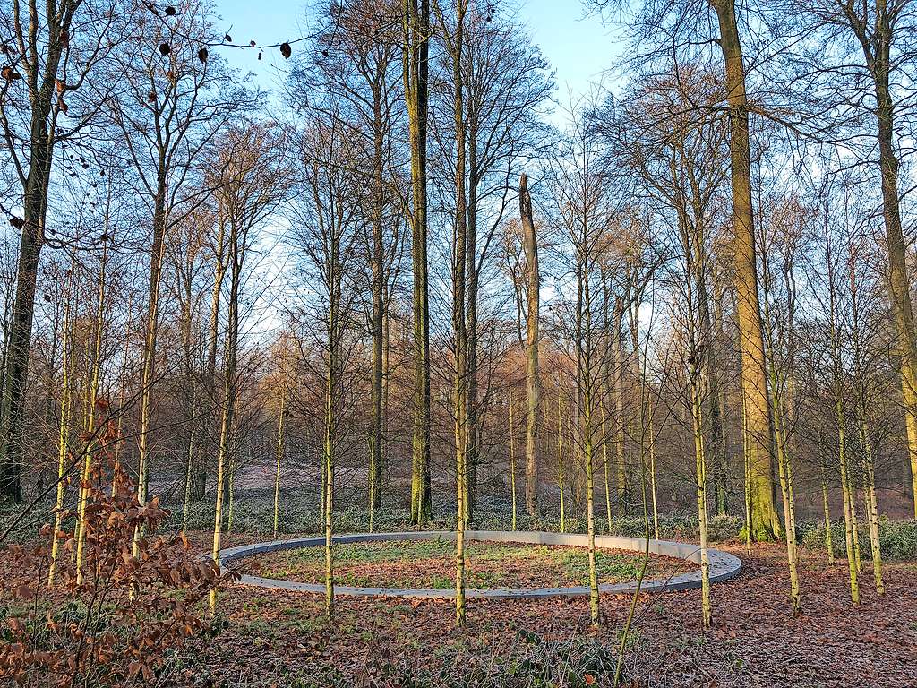 Het Zoniënwoud aan de rand van Brussel biedt wandelaars heel wat mogelijkheden. © Filip Ceulemans