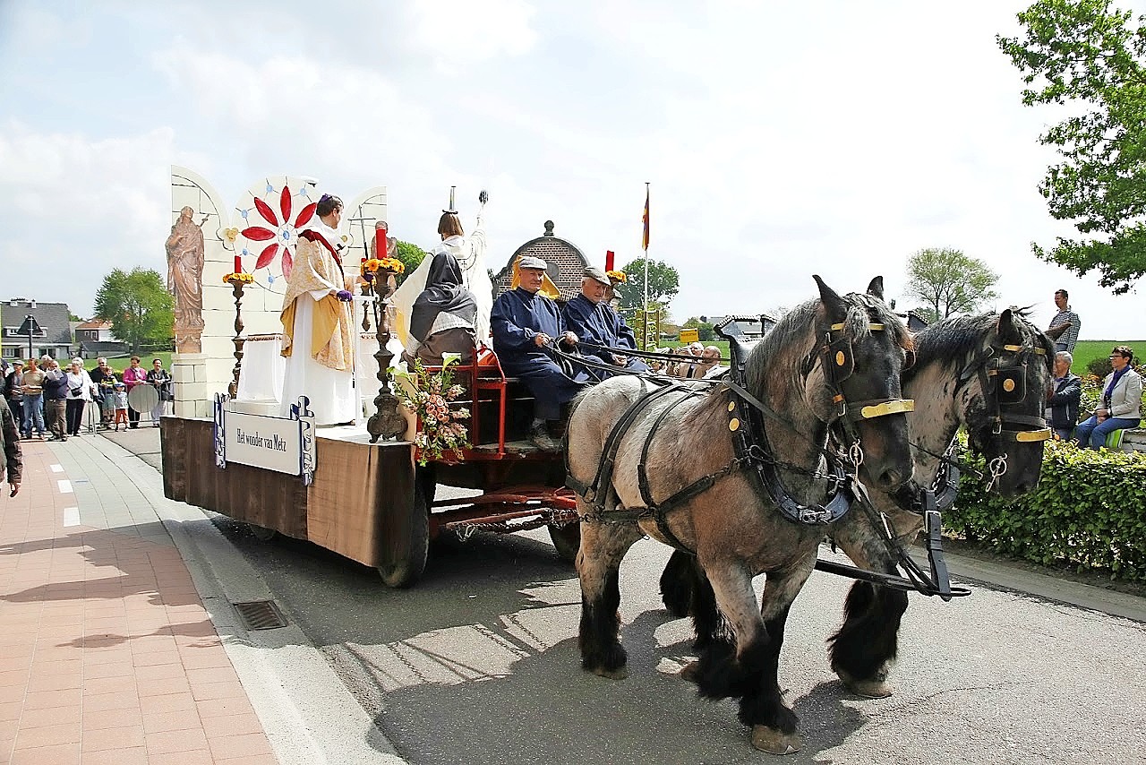 Boerenpaarden trekken de praalwagens. © Sint-Servaascomité