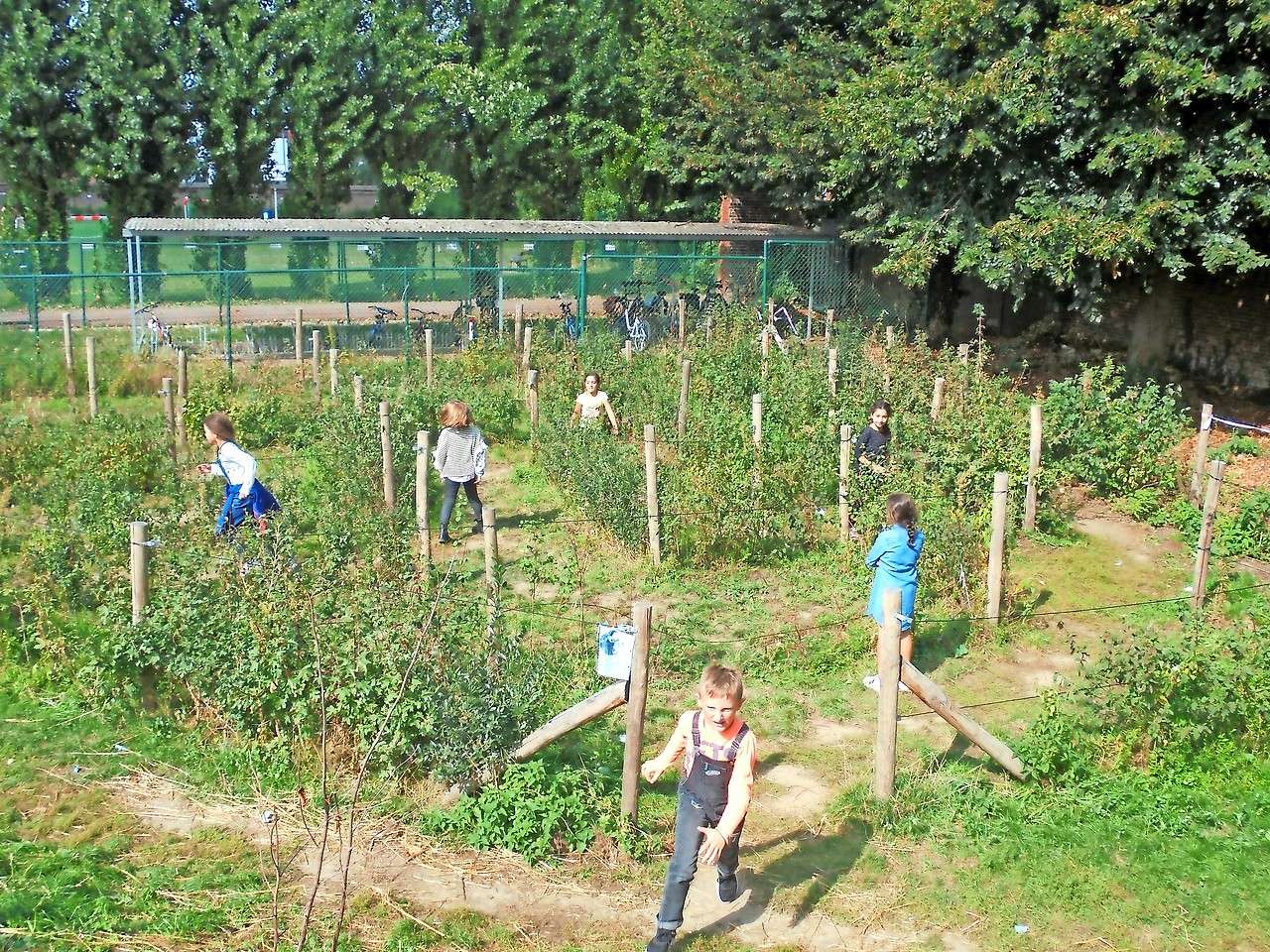 Leerlingen van de basisschool genieten van het doolhof op hun speelplaats. © VBS De Knipoog