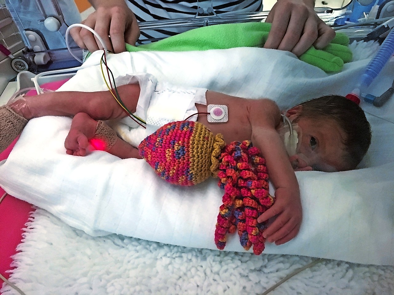 Baby Ilyana kreeg op de neonatale afdeling van het UZ Leuven een octopusje, gehaakt door CoCopus. © Jens Messner