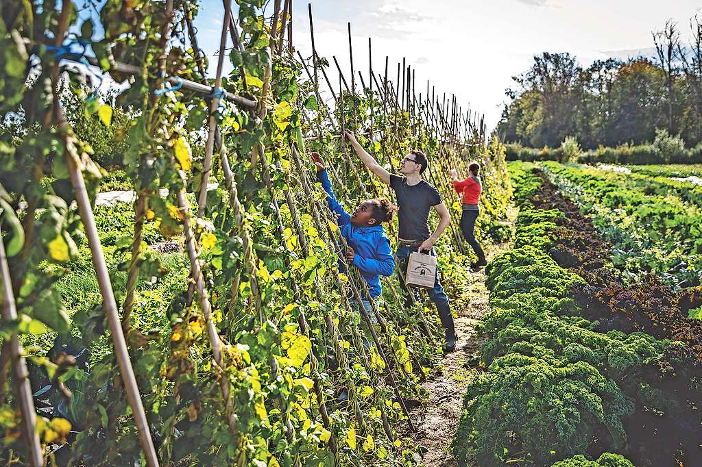 Bij BoerEnCompagnie﻿ in Heverlee kiezen ze alvast voor duurzame landbouw. © Thomas De Boever