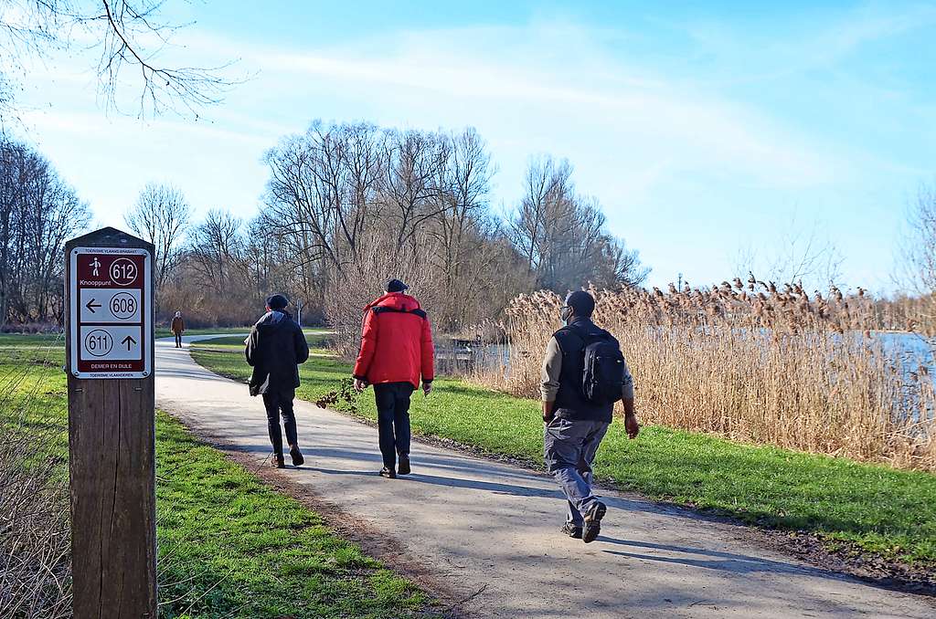 Met mondmaskers en op afstand bezinnen pastores in de Rotselaarse natuur. © Tony Dupont