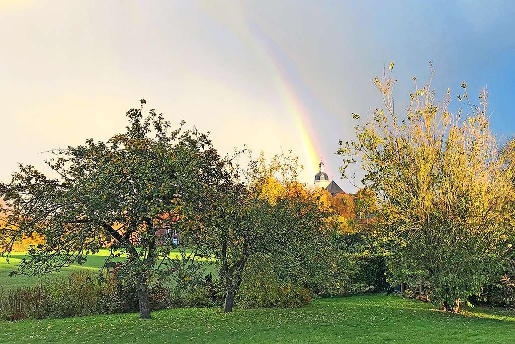 In de abdij van Vlierbeek geeft Ecokerk Vlierbeek op een duurzame manier kleur aan de leefomgeving. © Jo T’Jampens