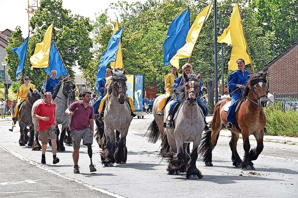 Paarden, ruiters, koetsiers en talrijke figuranten geven eind juni opnieuw kleur aan de Opwijkse processie. © Kris Vanderstraeten