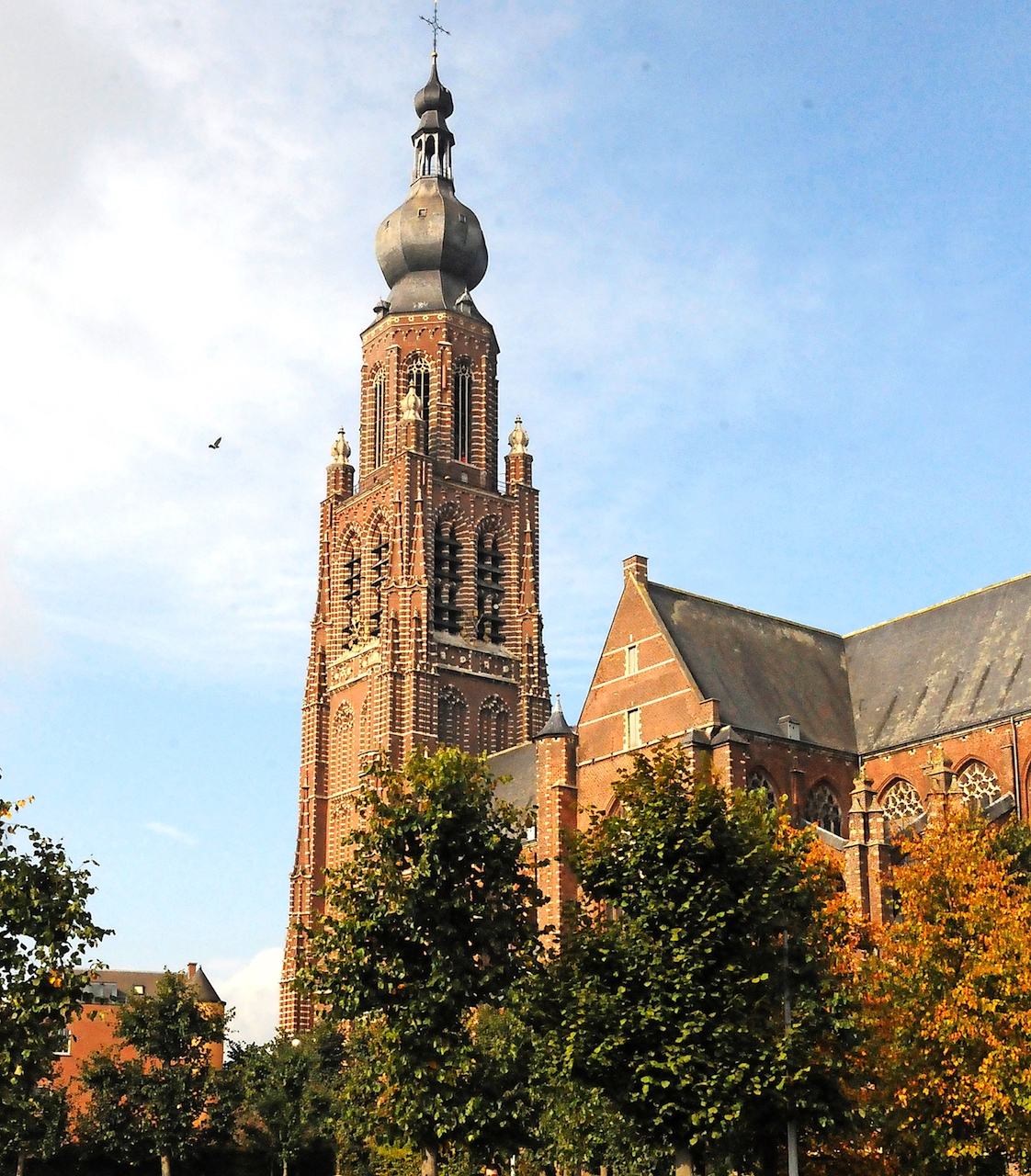 De bakstenen toren van de Sint-Katharinakerk is het symbool en de trots van Hoogstraten. © Bisdom Antwerpen