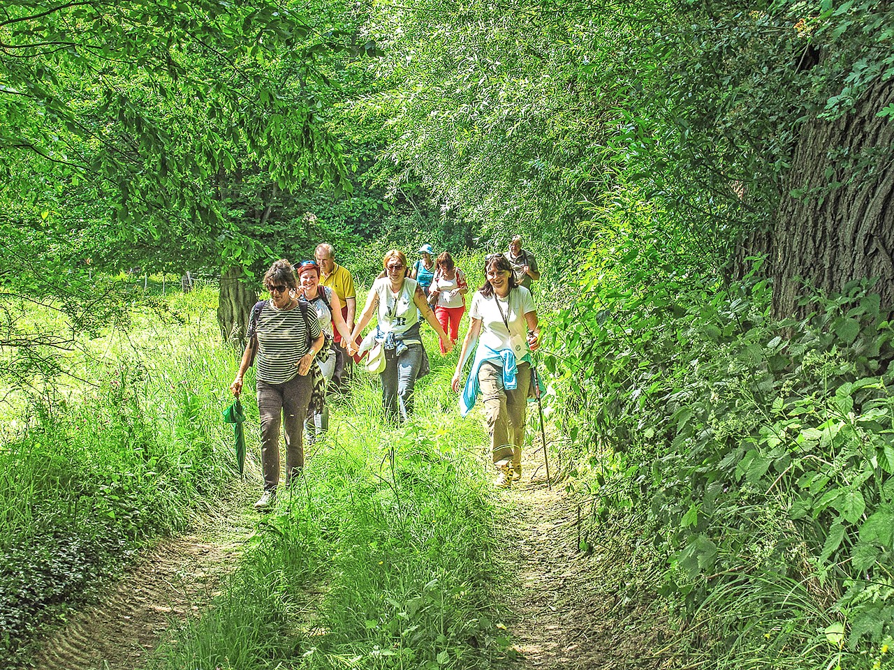 Een wandeling in de natuur is goed voor lichaam en geest. © Mattias Furniere