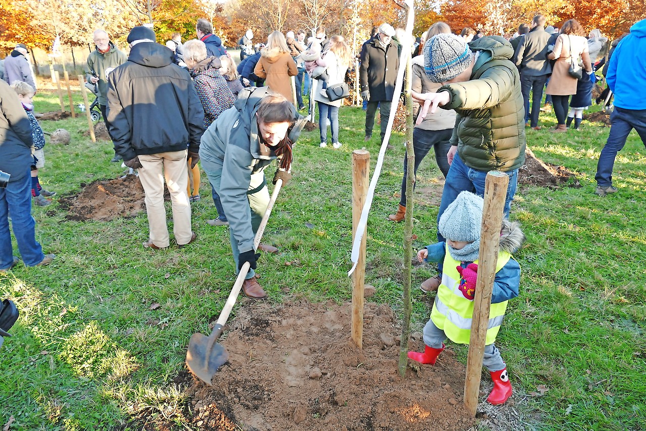 De aanplanting van nieuwe bomen in het Geboortebos brengt jong en oud samen. © Gemeente Borsbeek