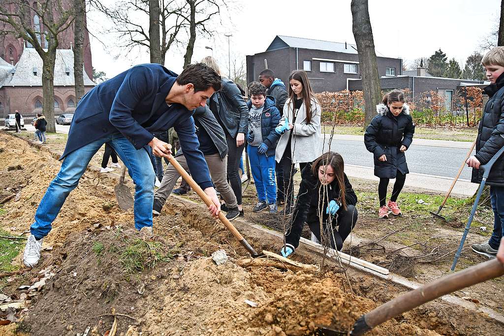 Haag- en boomplantacties kennen steeds veel succes . © Pino Misuraca