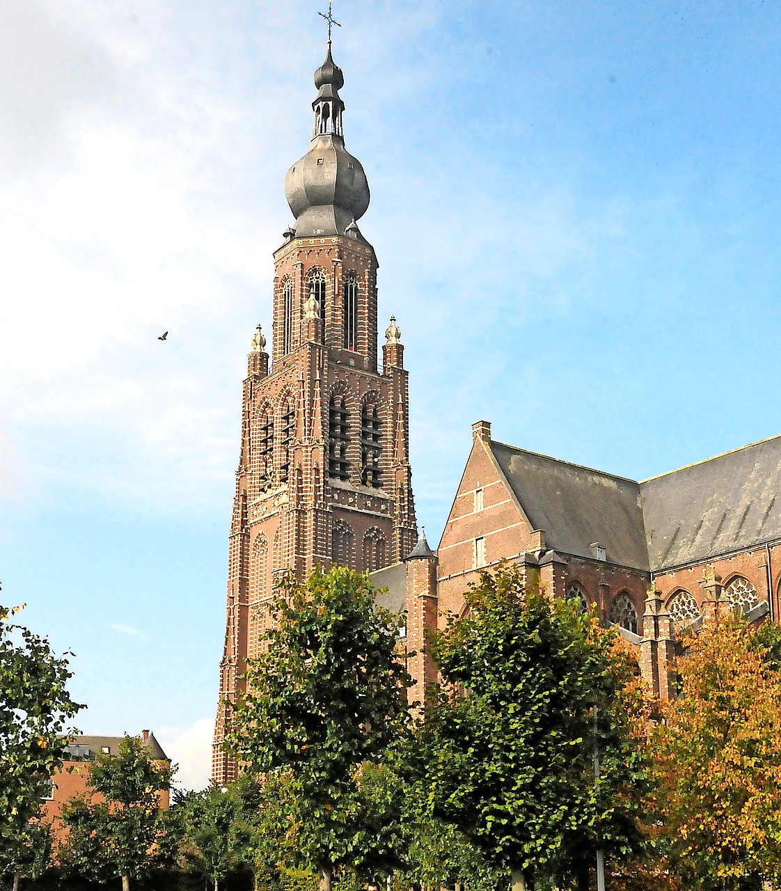 Bruno Aerts beleefde zijn jeugd onder de bakstenen toren van de Sint-Katharinakerk in Hoogstraten. © Filip Ceulemans