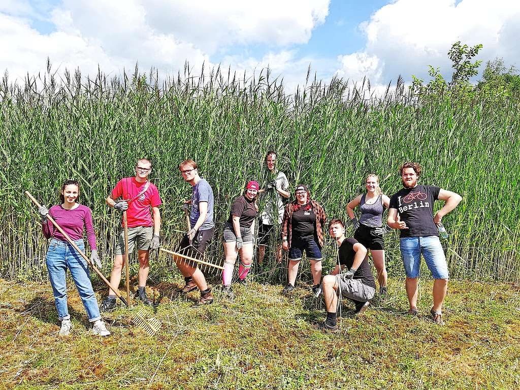 Tijdens de Engagementsdag steken de jongeren de handen uit de mouwen voor een goed doel. © Marjolein Bruyndonckx