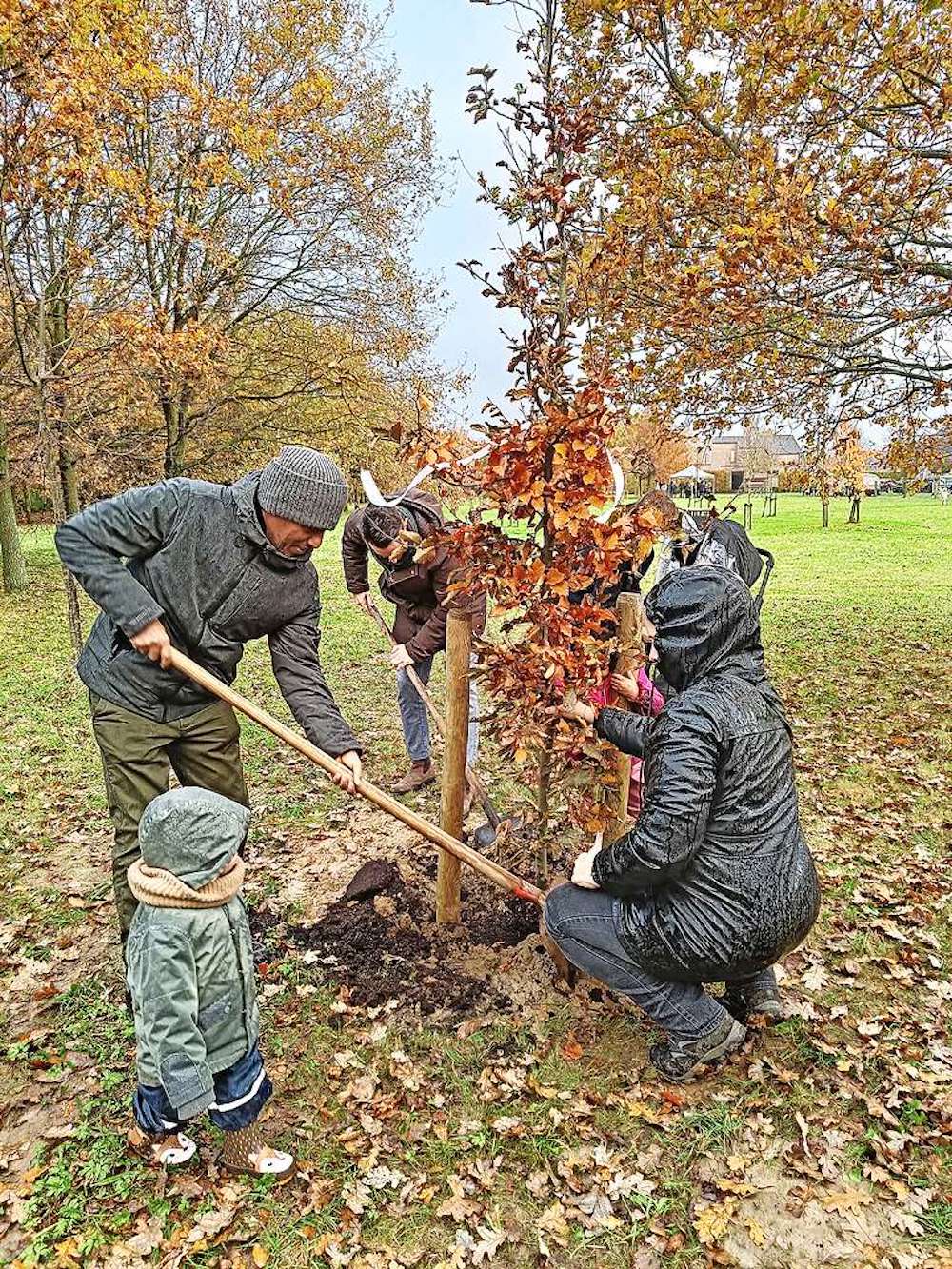 Ouders planten bomen ter ere van 71 meisjes en 72 jongens die het afgelopen jaar in Borsbeek werden geboren. © Stichting Kempens Landschap