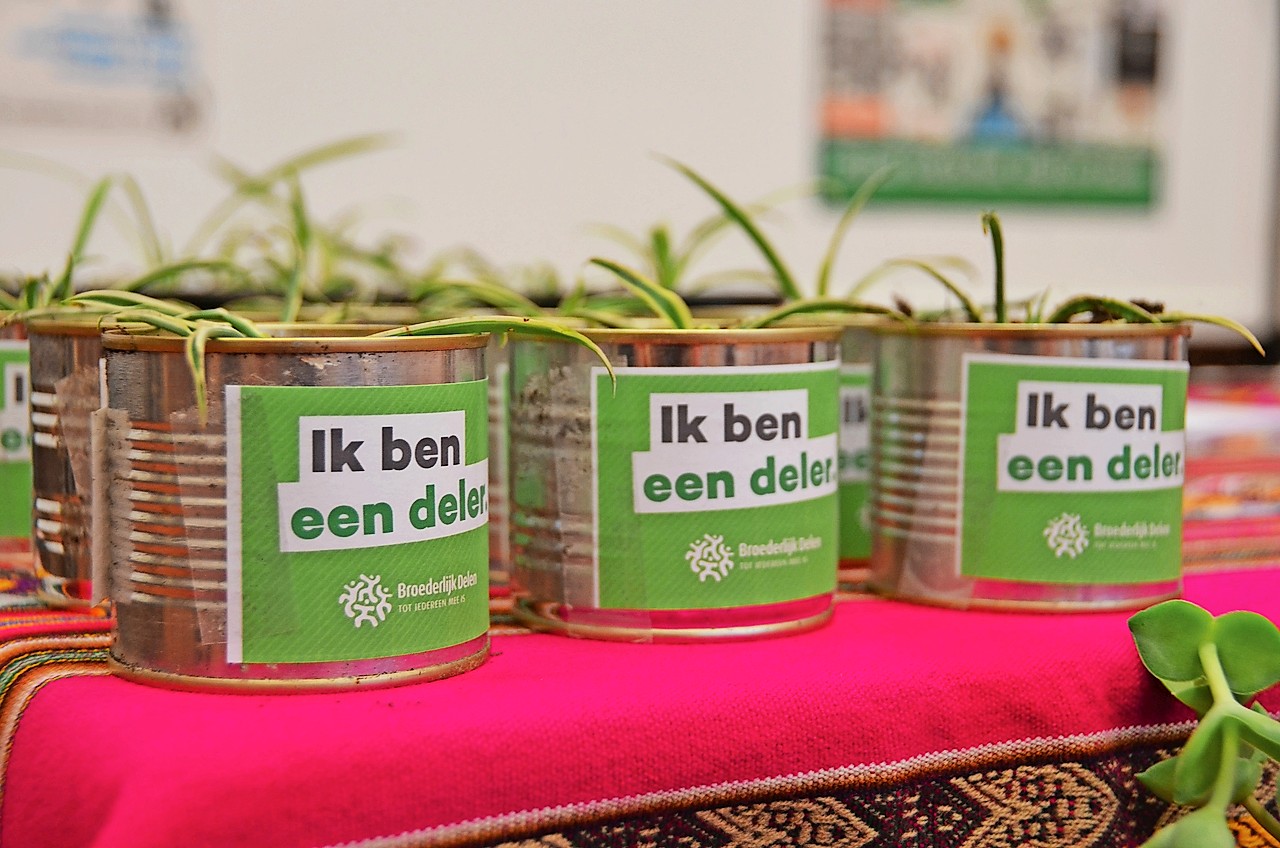 An Maes: „Deze plantjes bewijzen dat geluk in kleine dingen schuilt. Je kunt ze eindeloos delen.” © Guido Calcoen