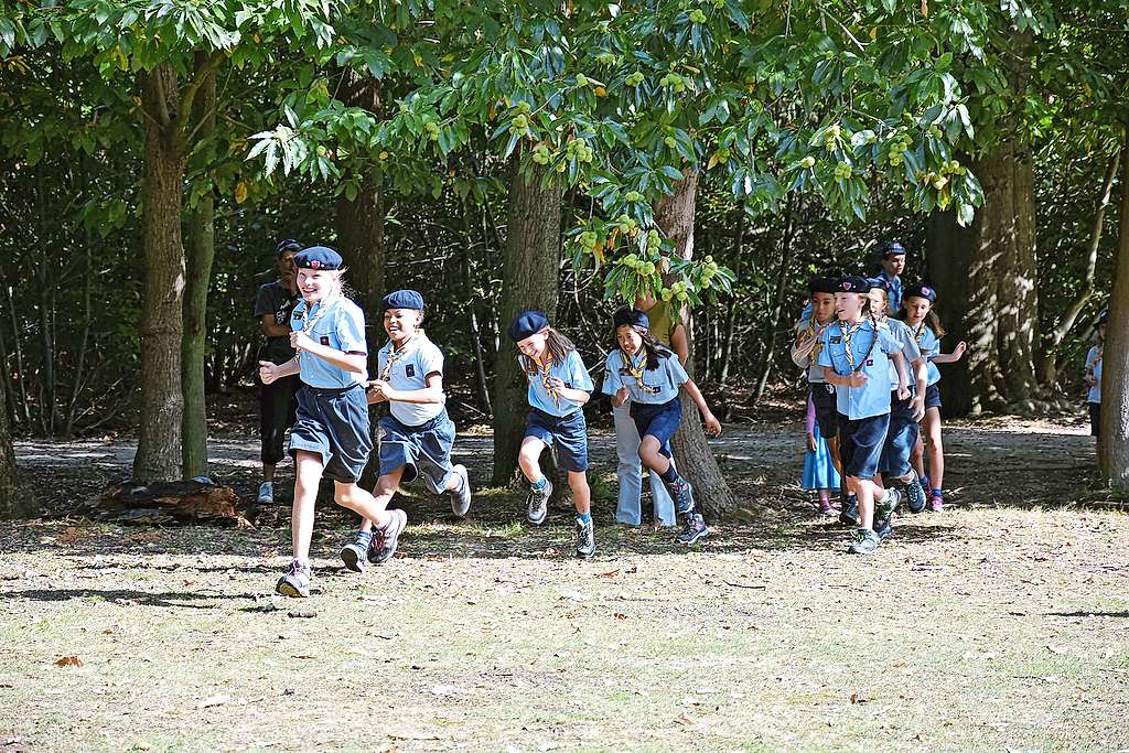 De jongste groep in actie bij de start van het nieuwe werkjaar. © Hadewijch Bouljon