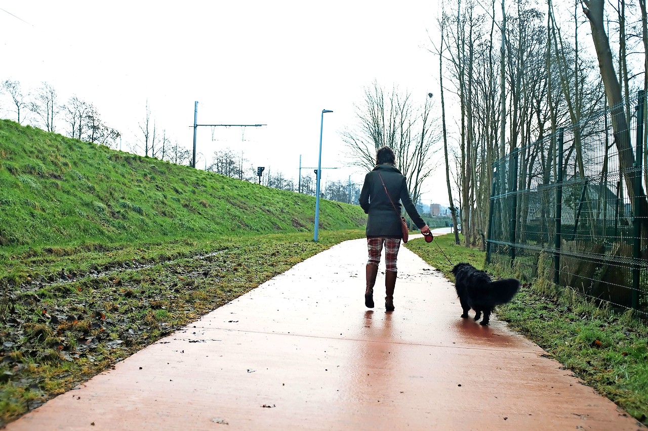 Tijdens wandelingen met haar hond verzamelde Pia Burrick alles wat ze vond. © Johan Beuckels