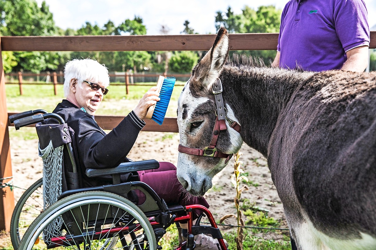 De aanpak van De Kleppe: therapiedieren en zorgbehoevenden samenbrengen. © Lisa Bilterijst