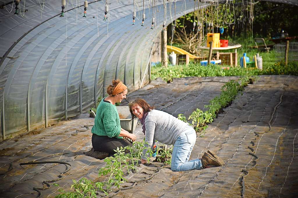 Lichamelijke arbeid op het veld is een deugddoende therapie voor personen met een burn-out. © Ourobouros