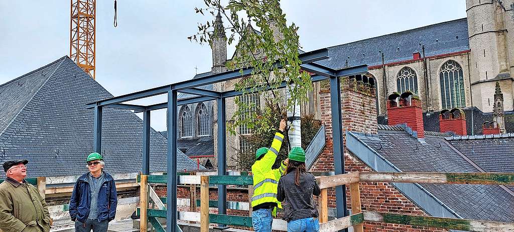 De meiboom wordt geplaatst wanneer het hoogste punt is bereikt. © Pascal Veeckman