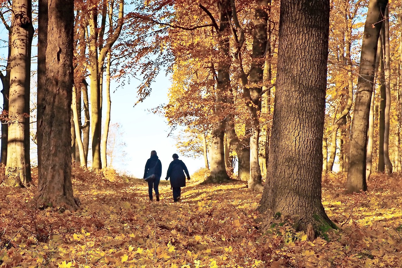 Wandelen en genieten van de natuur is leuker met twee. © RDonar/Shutterstock