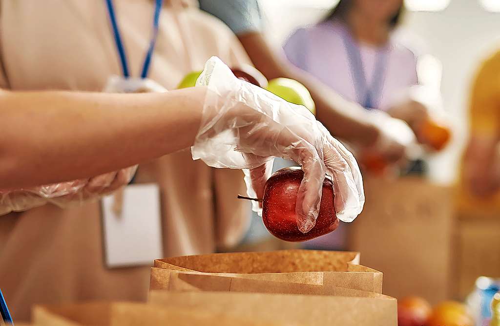 Vele handen maakten licht werk﻿ tijdens het verdelen van het fruit voor de lokale Sint-Vincentiusvereniging. © Shutterstock