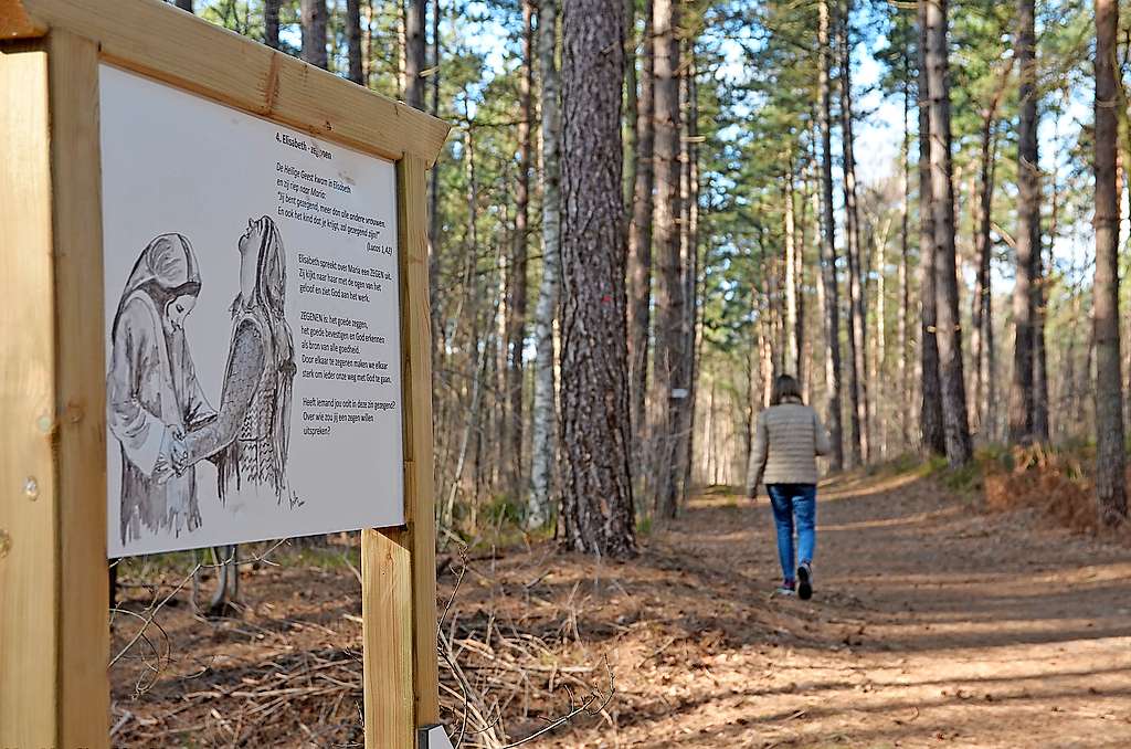 Wandelaars ontmoeten in de bossen van Koersel zeven sterke vrouwen. © Tony Dupont