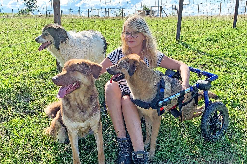 Steffi Verjans met enkele verwaarloosde en mishandelde honden uit Roemenië. © vzw Farm Flora