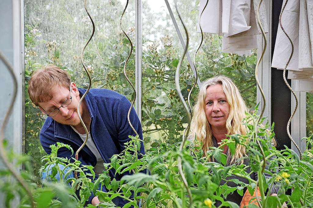 Monique Cuypers staat onder meer in de serre zorggasten bij met raad en daad. © Tony Dupont