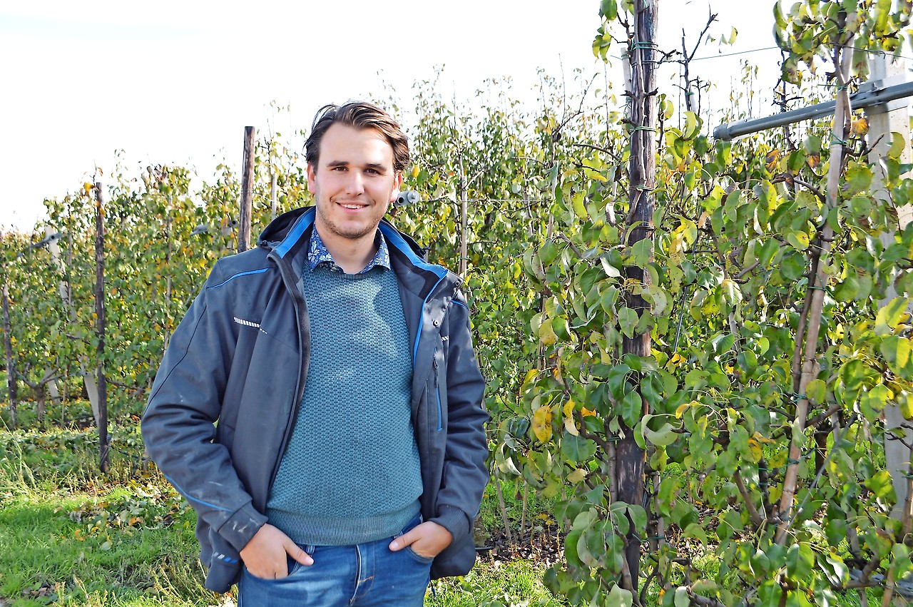 „Fruit is iets ongelooflijks”, zegt Laurens Tack tussen de perenbomen van zijn bedrijf. © Erik De Smet