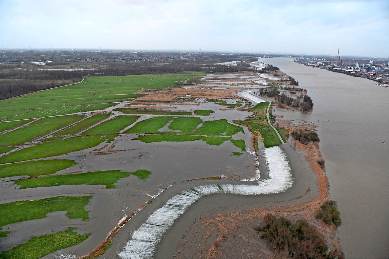 In januari stroomde het Scheldewater, zoals voorzien, over de dijk in Kruibeke. © Wim Robberechts