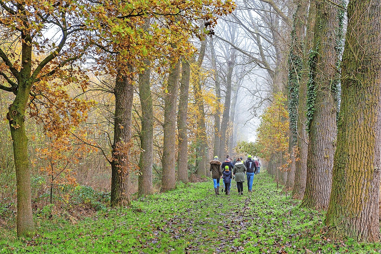 Op zich maakt de omvang van een bos niet uit, zolang er maar voldoende bosrand is. © Natuurpunt