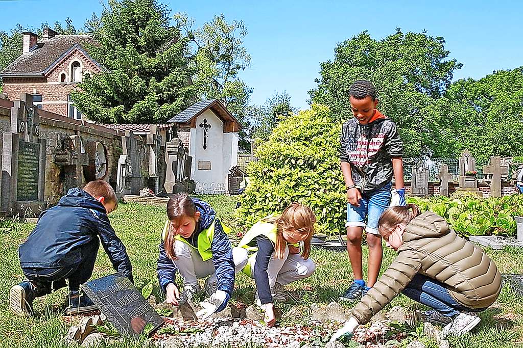 Leerlingen onderzoeken het funerair erfgoed op het oude kerkhof in Grote-Spouwen en onderhouden het. © Karolien Coenen