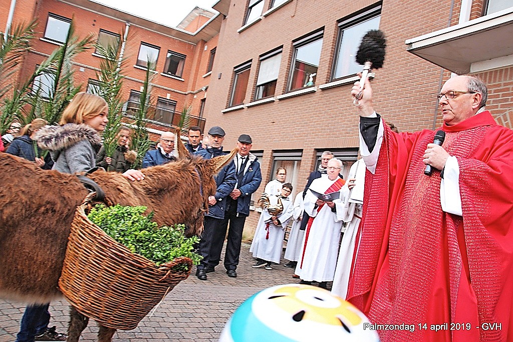 In ‘ezelsdorp’ Kuurne zegent pastoor Filip Debruyne palm en ezel vóór de aanvang van de processie. © Geert Vanaverbeke