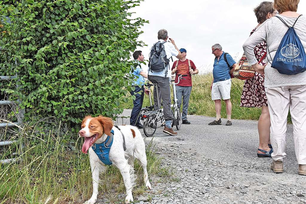 Onderweg ontmoeten catechisten gelijkgezinden, wisselen ze ervaringen uit en bemoedigen ze elkaar. © Piet De Loof