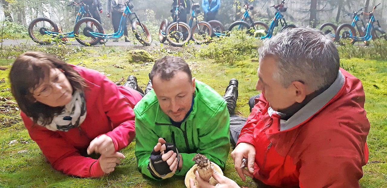 Een gids geeft uitleg bij de soorten champignons die de steppers onderweg plukten. © Bernard Mutsch