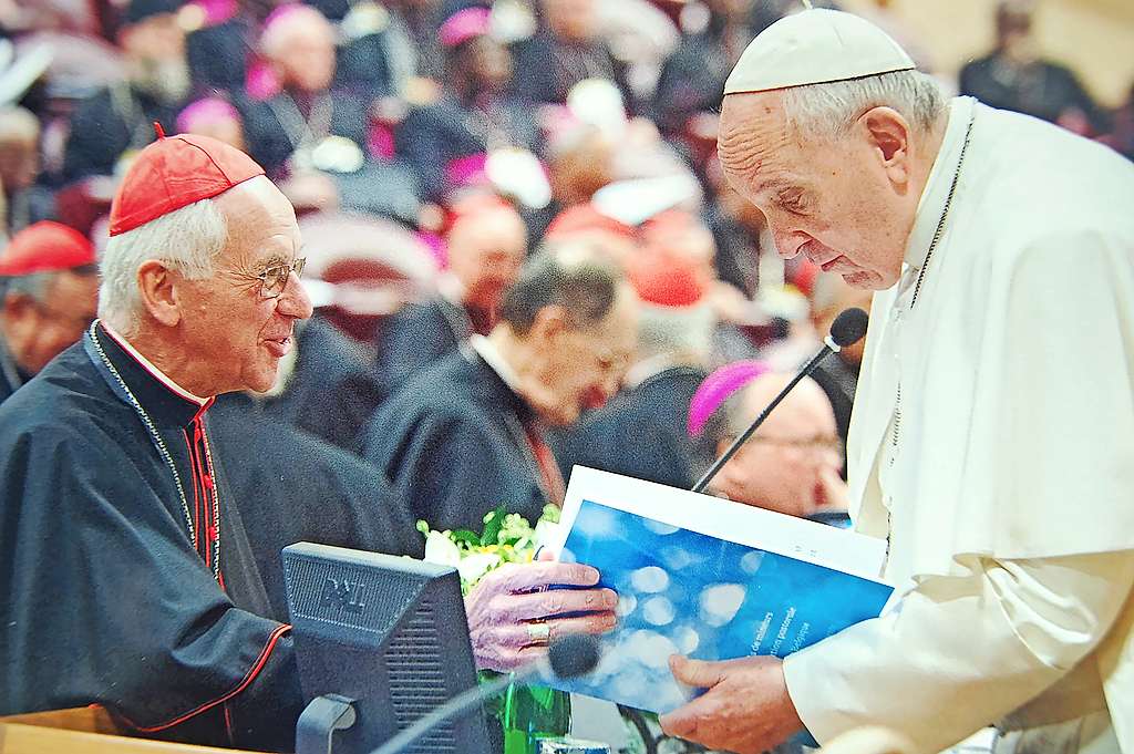 Voor kardinaal De Kesel komt het ad-liminabezoek kort voor zijn emeritaat. © Vatican Media