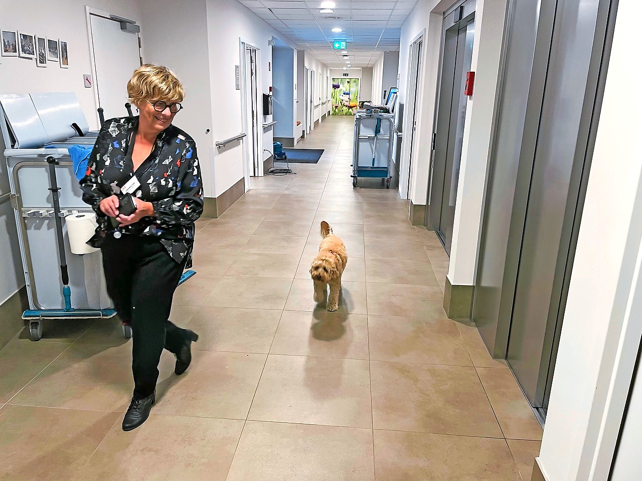 Labradoedel Fido voelt zich helemaal thuis in het woon-zorgcentrum. © Christof Bouweraerts