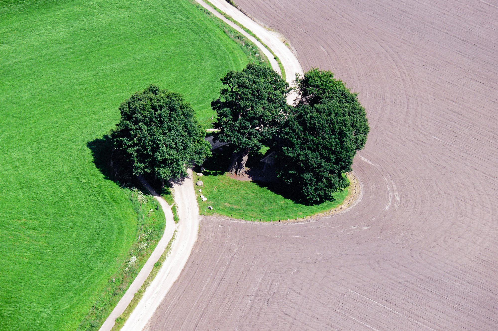 Luchtfoto van de Kroezeboom in Fleringen.